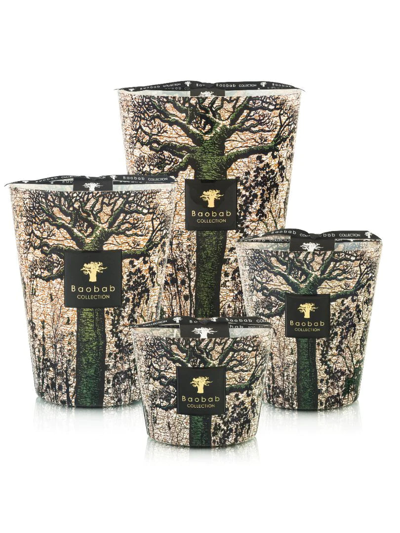 Sacred Trees Kani Candle CNDLS/FRAG Baobab 