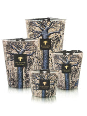 Sacred Tree Seguela Candle CNDLS/FRAG Baobab 