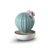 Ferocactus Cactus- Tropical Blossoms Scent Home Accessories Lladro 