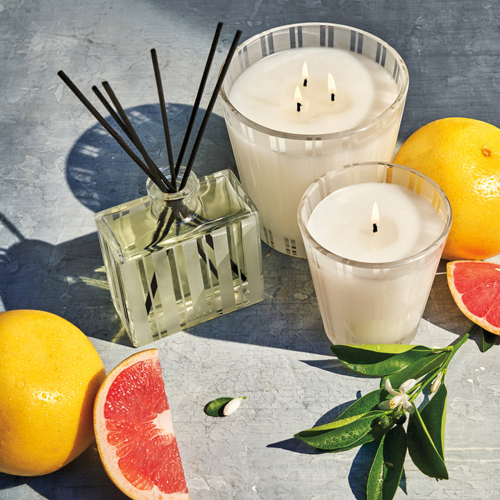 Grapefruit Classic Candle CNDLS/FRAG Nest Fragrances 