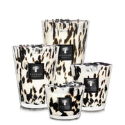 Black Pearls Home Accessories Baobab 